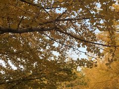 -辽宁大学(崇山校区)