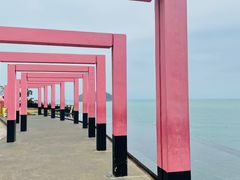 -漳州滨海火山岛自然生态风景区