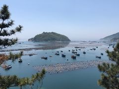 -广鹿岛景区