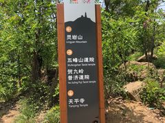 -灵岩山风景区