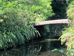 -广州兰圃