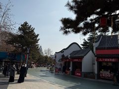 -青岛方特梦幻王国