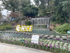 -成飞公园