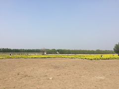 -天津武清北运河郊野公园房车露营地