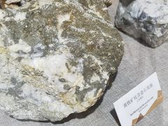 -烟台自然博物馆
