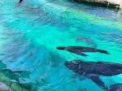 -珠海长隆海洋王国