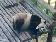 -大连森林动物园