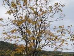 -牛岗山公园