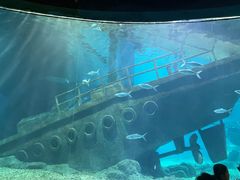 -福州罗源湾海洋世界旅游区