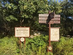-北京西山国家森林公园