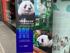 -熊猫邮局(少城店)