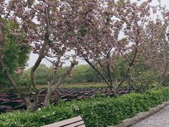 -无锡市乌鹤山公墓办事处