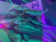 -M-MIX电音烤吧