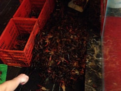 iphone_upload_pic-百味手拨龙虾馆(愚园路店)
