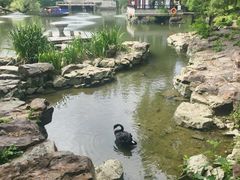 -水绘园