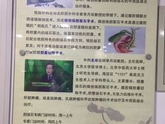 -北京中西医结合医院