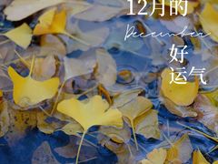 -九华山公园