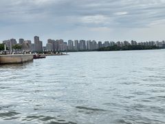 -金鸡湖景区