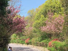 -南京市江宁方山
