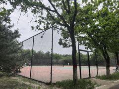 -五环公园