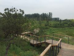 -东郊湿地公园