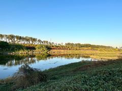 -月河湾马术俱乐部(朝阳店)