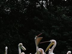 -珠海长隆海洋王国