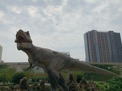 -陕西自然博物馆