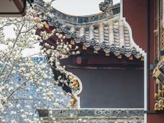 -长春观