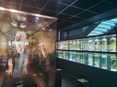 -广东中医药博物馆