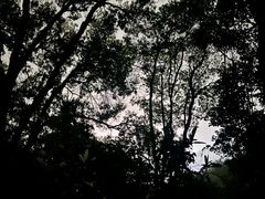 -高榜山景区
