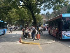 -紫金山山顶公园