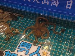 -鱼满舱·鲜活海鲜·正宗鲁菜
