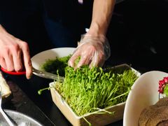 豆苗-九鼎轩火锅大排挡
