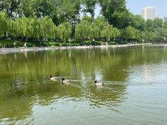 -中国农业博物馆