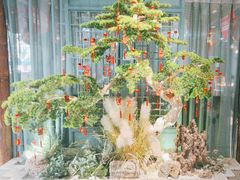 -渝乡辣婆婆·川菜 水煮鱼(中山西路店)