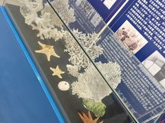 -上海海洋大学鱼文化博物馆(军工路校区)