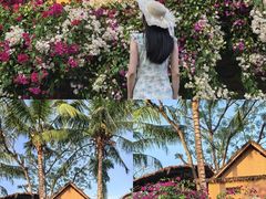 -海南槟榔谷黎苗文化旅游区