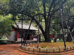 -武侯墓风景区