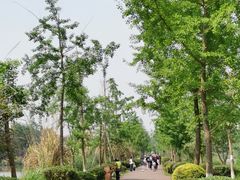 -白鹭湾湿地公园