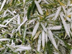 -金筷子西北菜·捞悦火锅