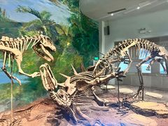 -自贡恐龙博物馆