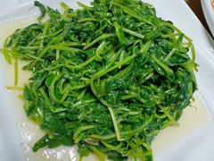 -天福苑(崇宁路店)