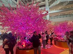 -新城市广场