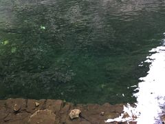 -九龙潭景区