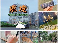 -鹿境梅花鹿生态园区