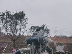 -森波拉奇妙世界