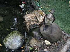 -成都欢乐谷