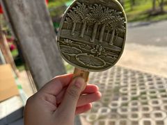 -中国科学院西双版纳热带植物园
