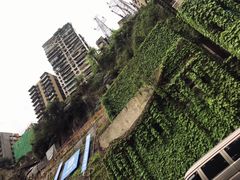 -东水门老街